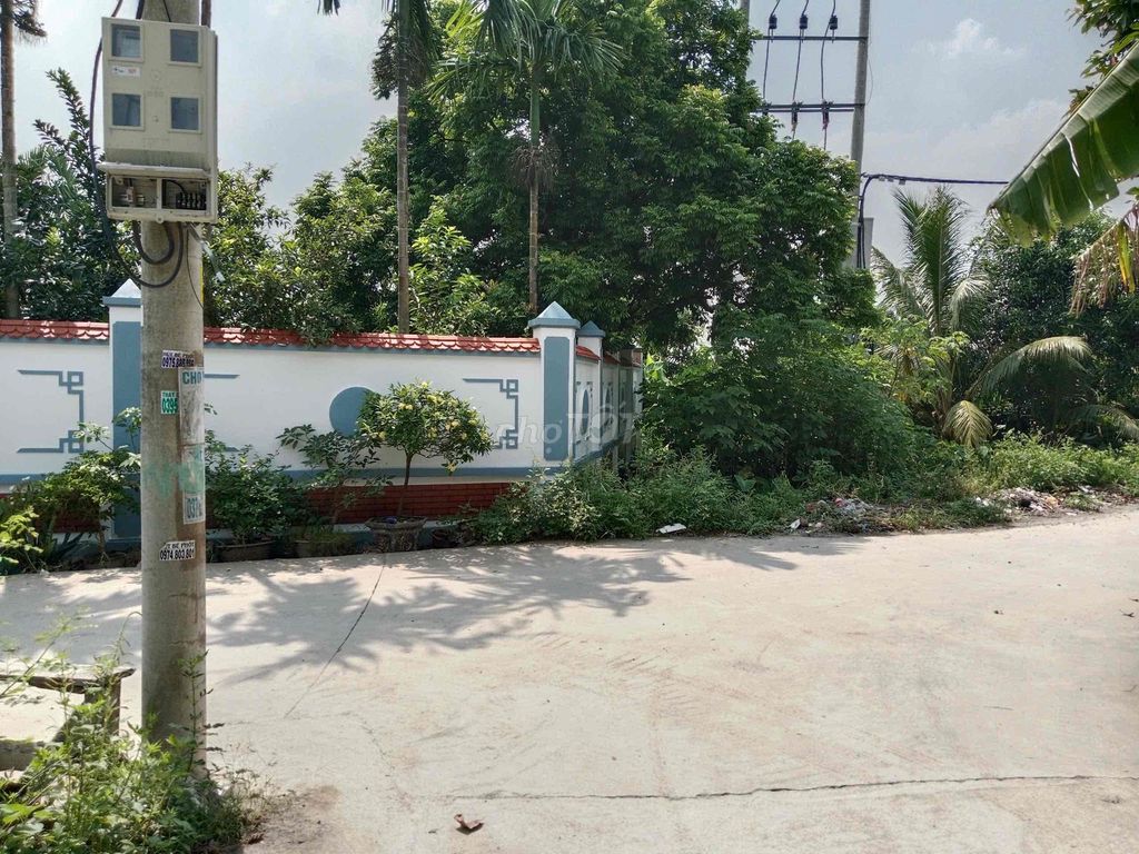 Cho thuê đất làm xưởng ở Xã Chương Dương, Huyện Thường Tín, Hà Nội 16013795