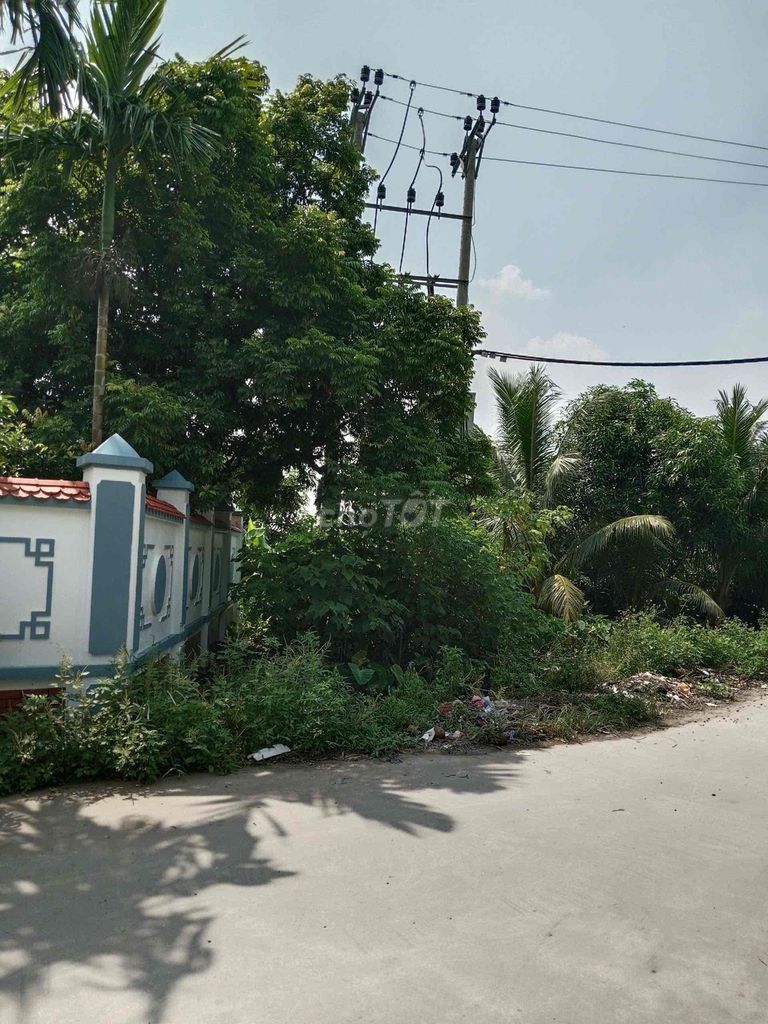 Cho thuê đất làm xưởng ở Xã Chương Dương, Huyện Thường Tín, Hà Nội 16013804