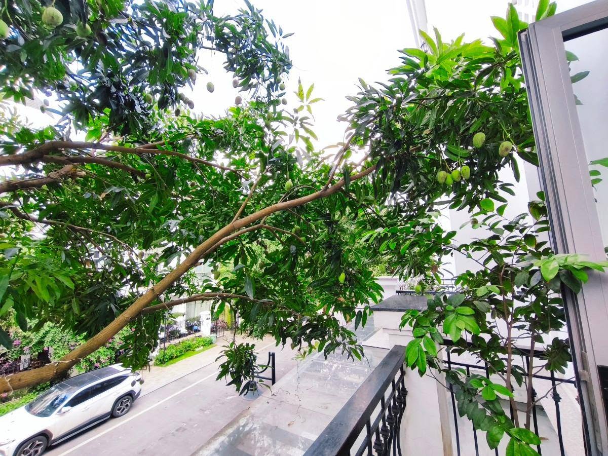 Bán nhà Đội Cấn, 80m2, 8 tầng, mặt tiền 6.6m, nhỉnh 33 tỉ, ô tô tránh, cho thuê 70tr/tháng 16013979
