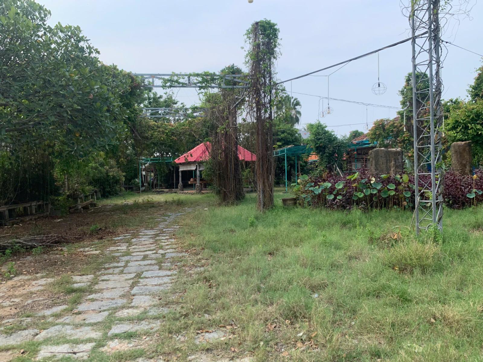 CHÍNH CHỦ CHO THUÊ 2.000M² ĐẤT ĐẸP TẠI TUY HÒA – PHÙ HỢP MỞ NHÀ HÀNG SÂN VƯỜN, GARA Ô TÔ 16014068