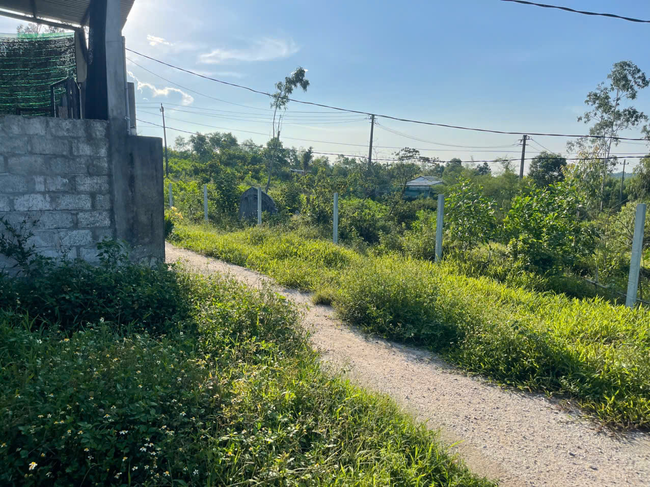 Bán đất 100m² Kiệt 124 Tôn Thất Sơn – Thuận tiện sinh hoạt, khu dân cư ổn định 16014067