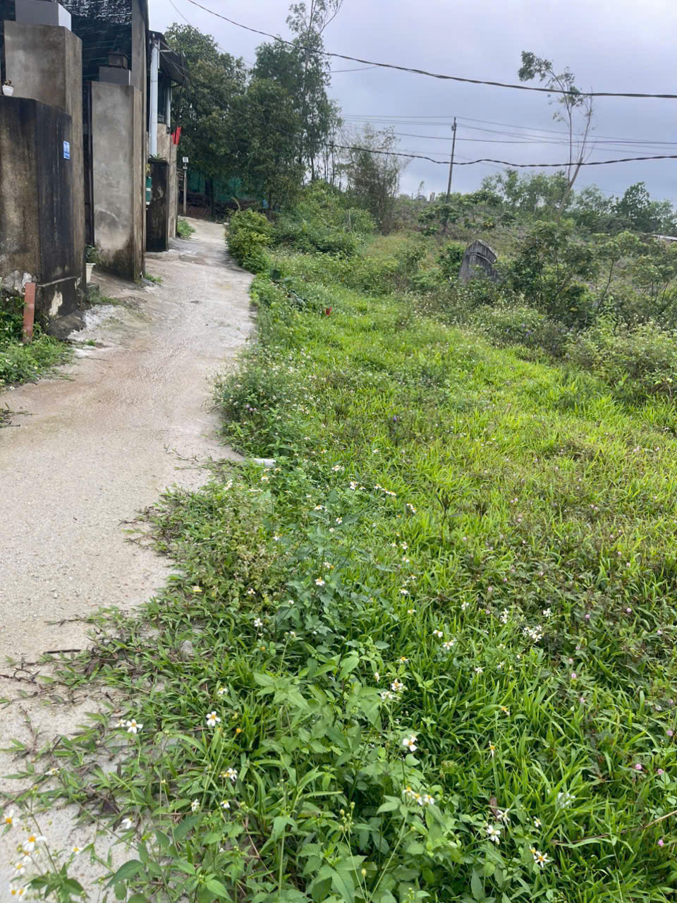 Bán đất 100m² Kiệt 124 Tôn Thất Sơn – Thuận tiện sinh hoạt, khu dân cư ổn định 16014067