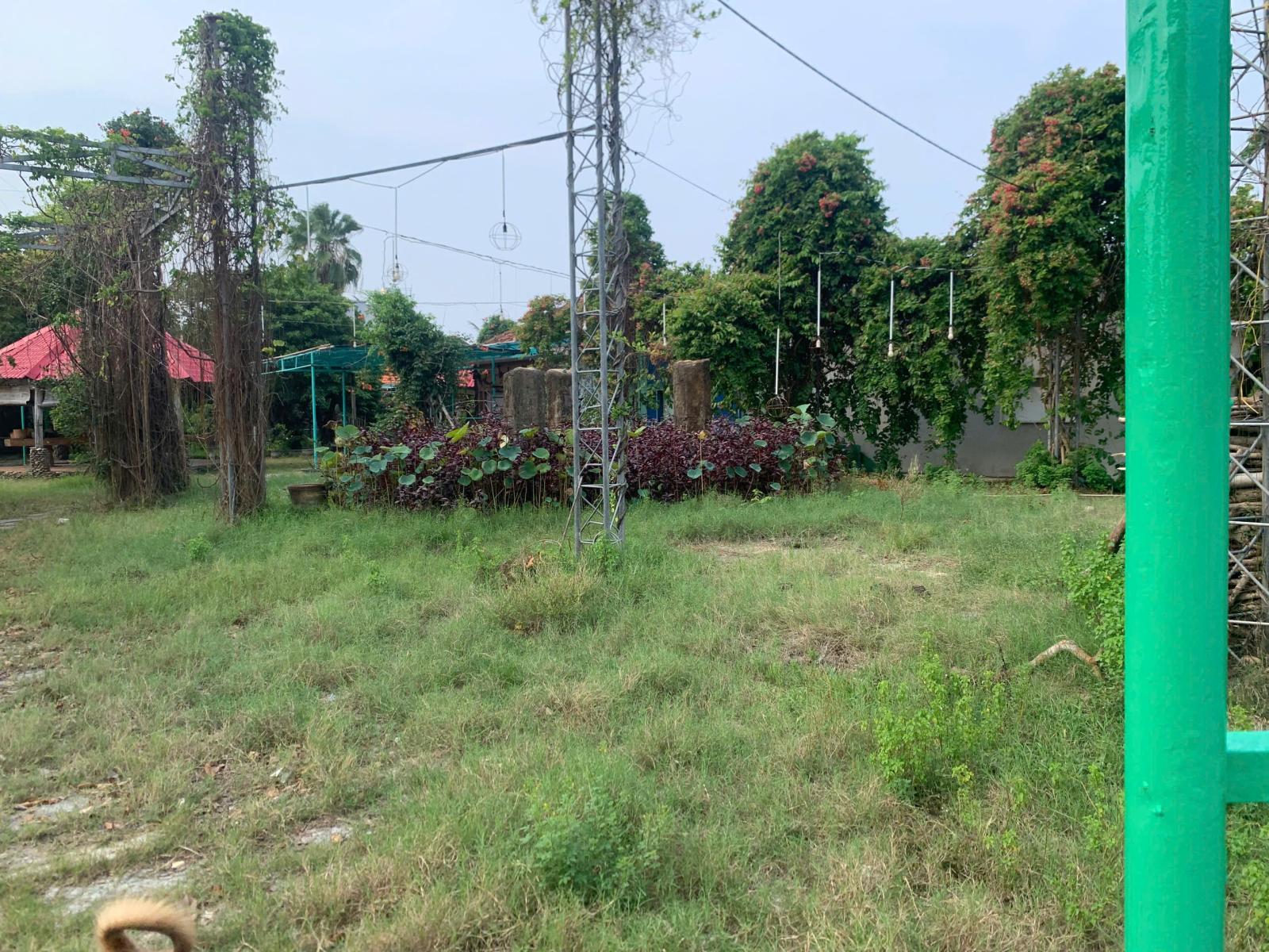 CHÍNH CHỦ CHO THUÊ 2.000M² ĐẤT ĐẸP TẠI TUY HÒA – PHÙ HỢP MỞ NHÀ HÀNG SÂN VƯỜN, GARA Ô TÔ 16014068