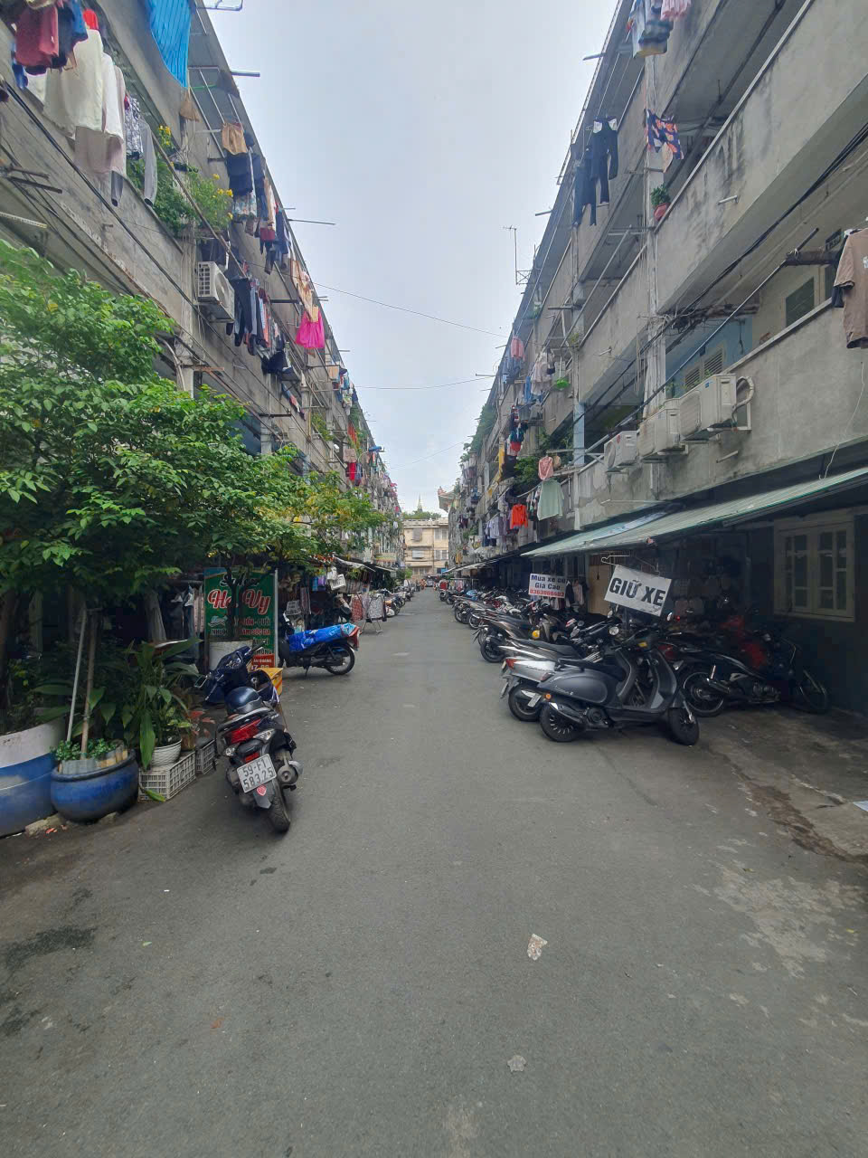 CHÍNH CHỦ CHO THUÊ CĂN HỘ 018 – LÔ B, CHUNG CƯ ẤN QUANG, BÀ HẠT, PHƯƠNG 9, QUẬN 10,TPHCM 16014133