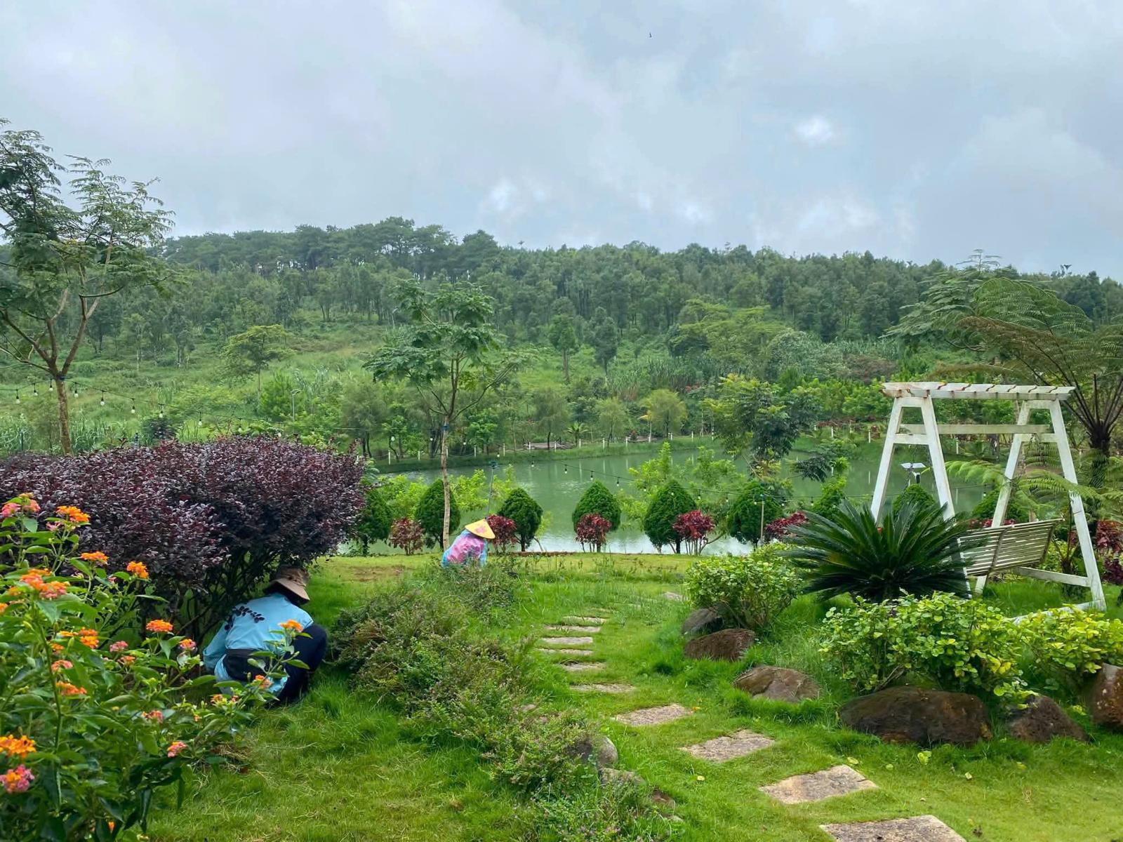 BÁN ĐẤT KHU CAMPING LÀNG OMM – BẢO LỘC, LÂM ĐỒNG 16014289
