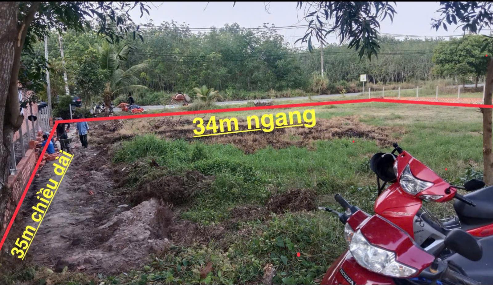 BÁN ĐẤT 1.180,2M²MẶT TIỀN ĐƯỜNG PHÚ THUẬN – TRUNG LẬP THƯỢNG, CỦ CHI – GIÁ 6,7 TỶ 16014314