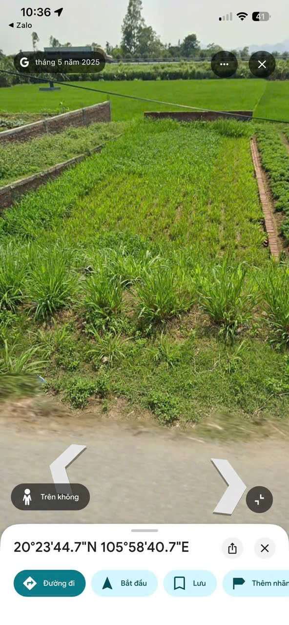 Bán lô đất Mặt Đường có diện tích 136m2 ( full thổ cư ) Thuộc Thôn Thông – Xã Trung Nghĩa – Ý Yên – 16014343
