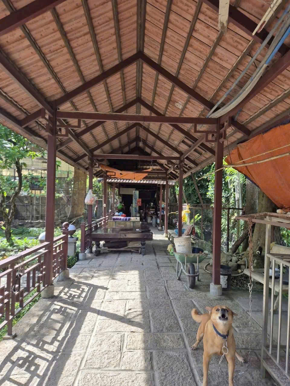 HÀNG HIẾM NHỊ BÌNH – BIỆT THỰ GỖ 2 MẶT TIỀN, 2.000M² SÂN VƯỜN! 16014347