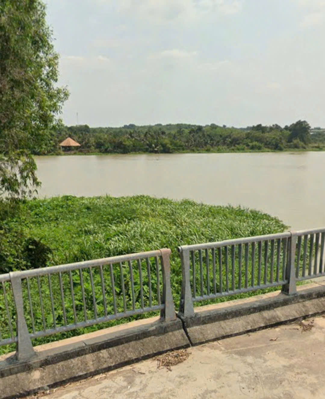 QUỸ ĐẤT 10HA VEN SÔNG SÀI GÒN, MẶT TIỀN KÊNH ÔNG LỠ, AN PHÚ CỦ CHI! 16014435