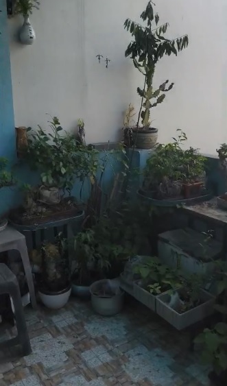 ♪ Gần Nguyễn Văn Linh Hoàng Diệu 41m2, 4 tầng đúc, 4PN khép kín, sân thượng trước - sau, 3.15 tỷ 16014441