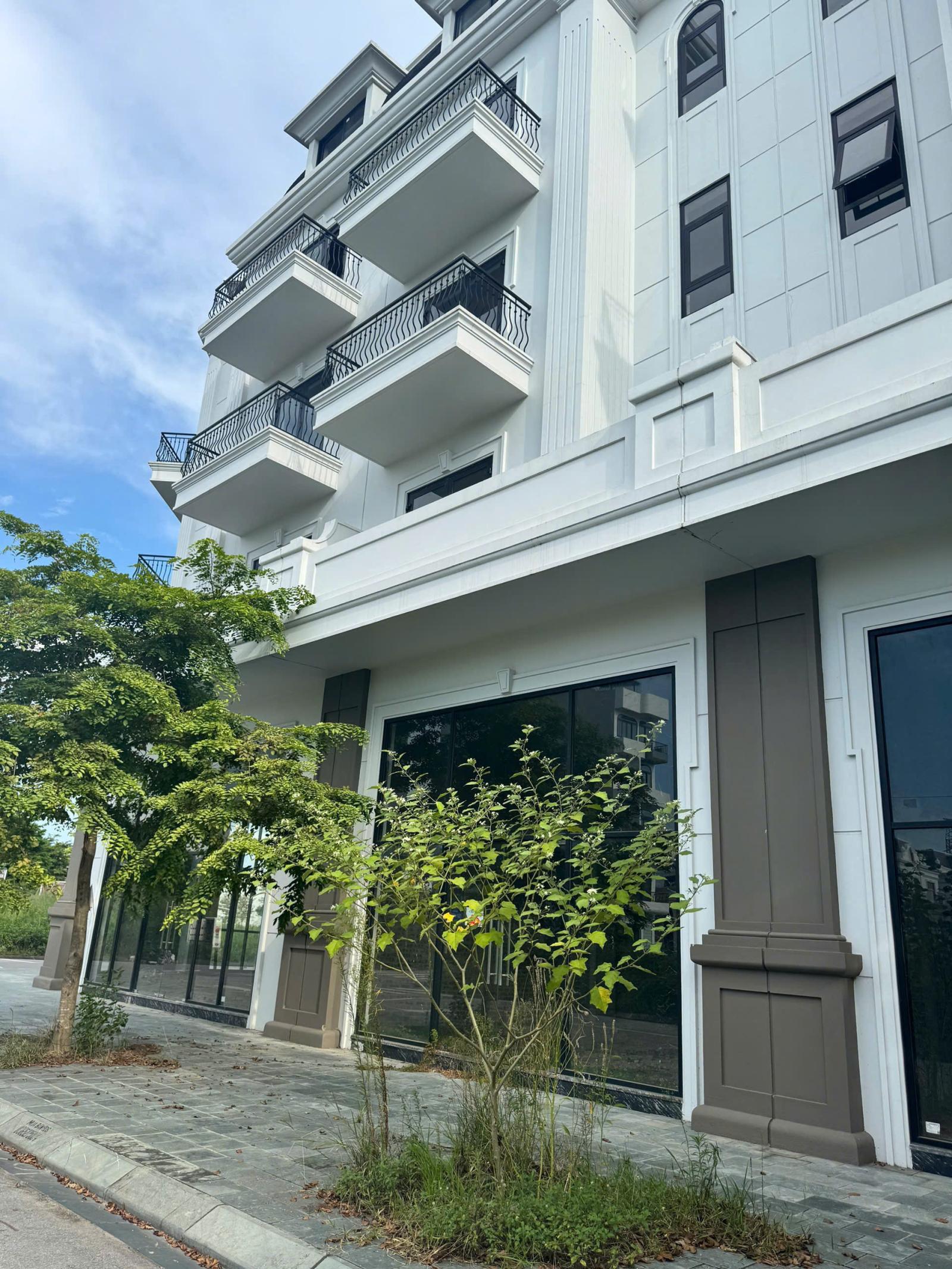 Căn Shophouse ALK26-17 – Dự án BigC (Mặt tiền Nguyễn Quang Cầu) 16014533