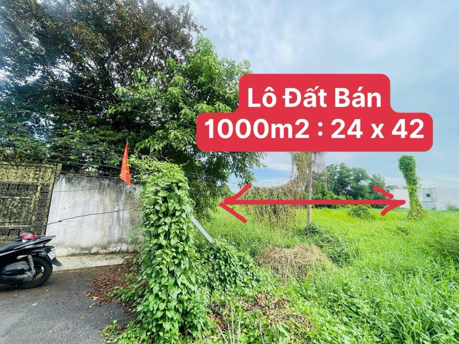 Bán Đất Thanh Xuân 52 q12 [ 24 x 42 ] chỉ 13 ,5 tỷ 16014547