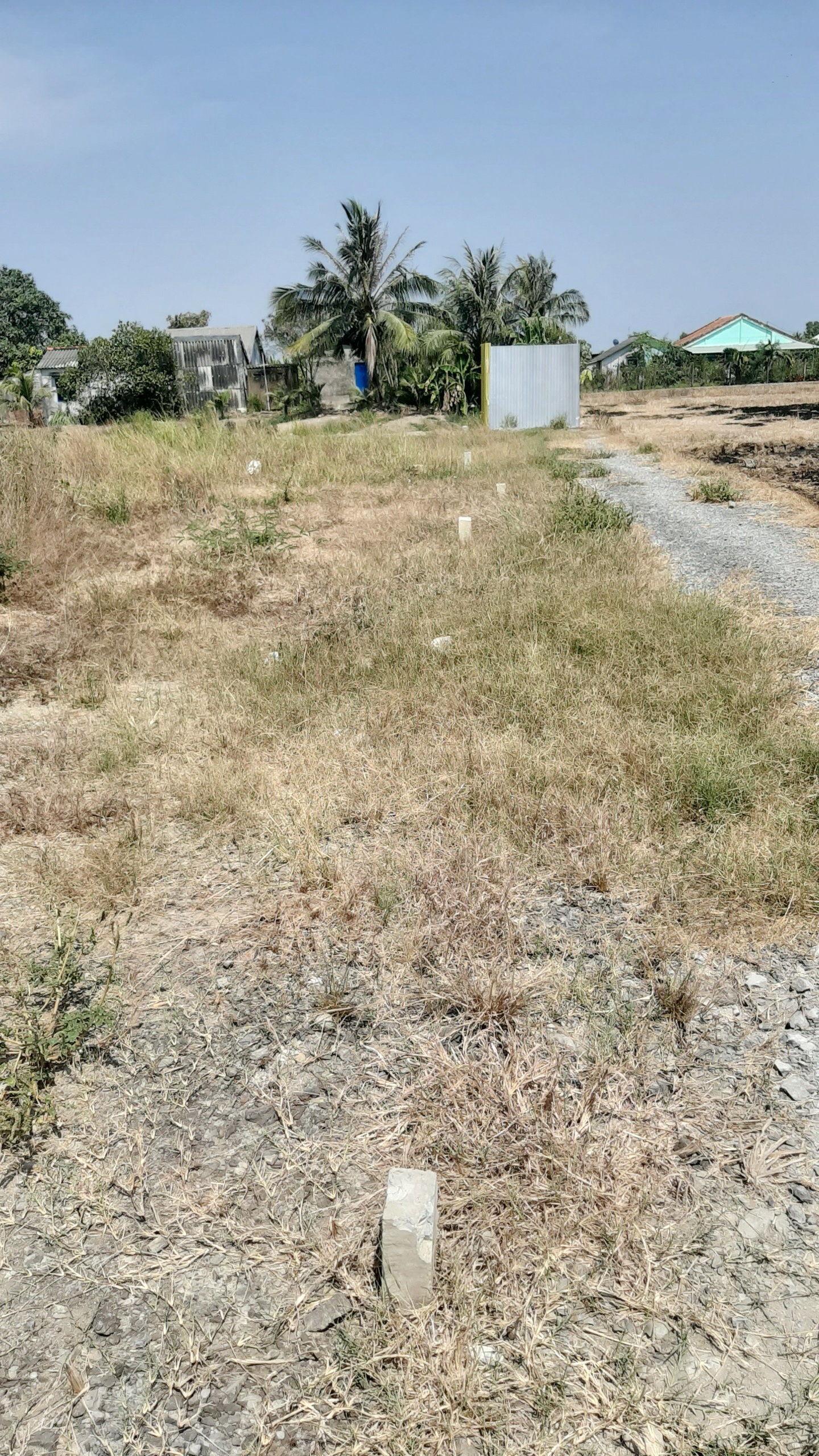 Lô đất full thổ cư Ấp 5 Xã Phước Vân Cần Đước Long An. Giá 3 tỷ 16014556