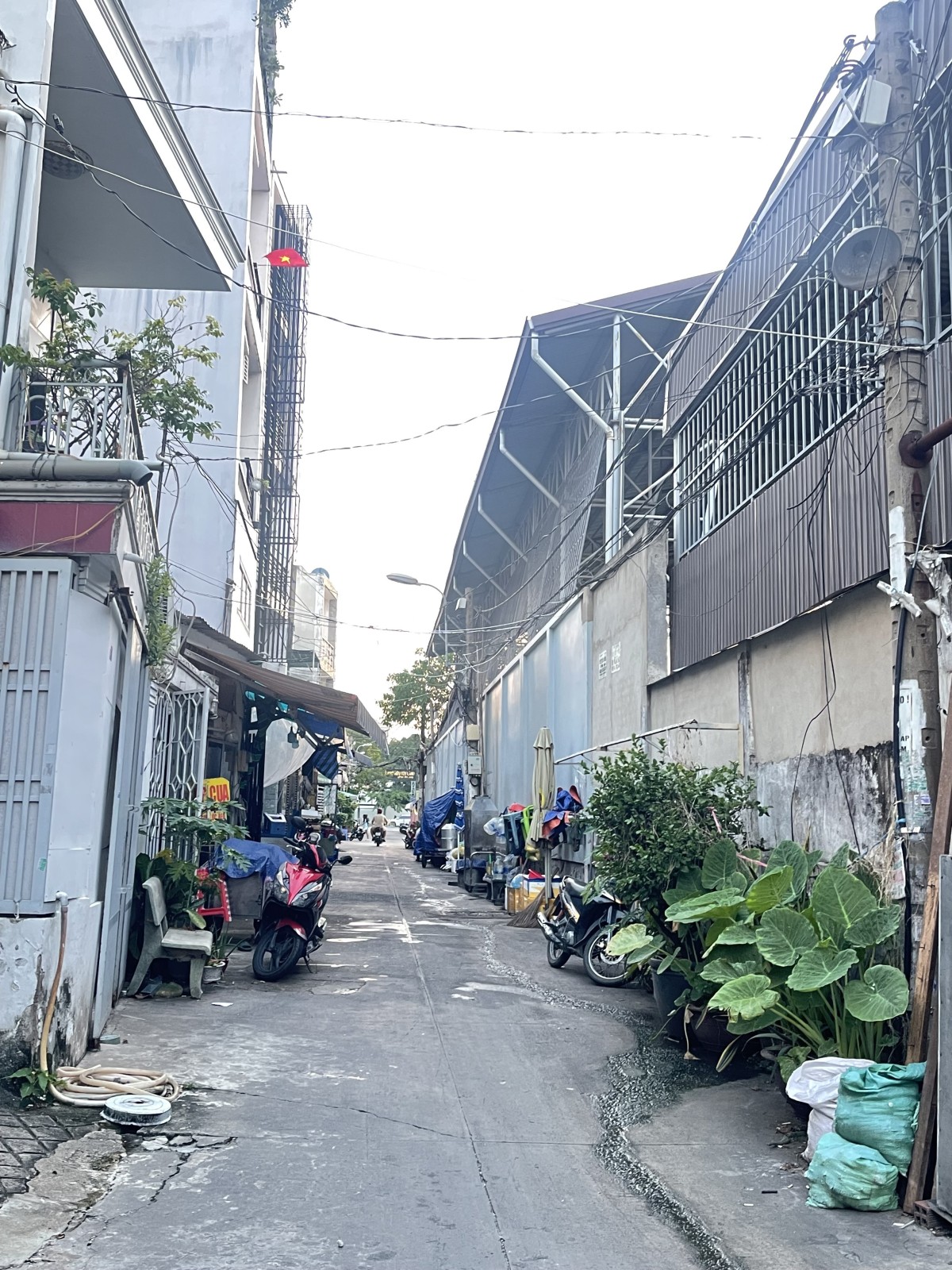 BÁN DÃY 6 PHÒNG TRỌ DƯƠNG QUẢNG HÀM, GÒ VẤP – 105M², NGANG 5M – GIÁ 12,5 TỶ 16014582
