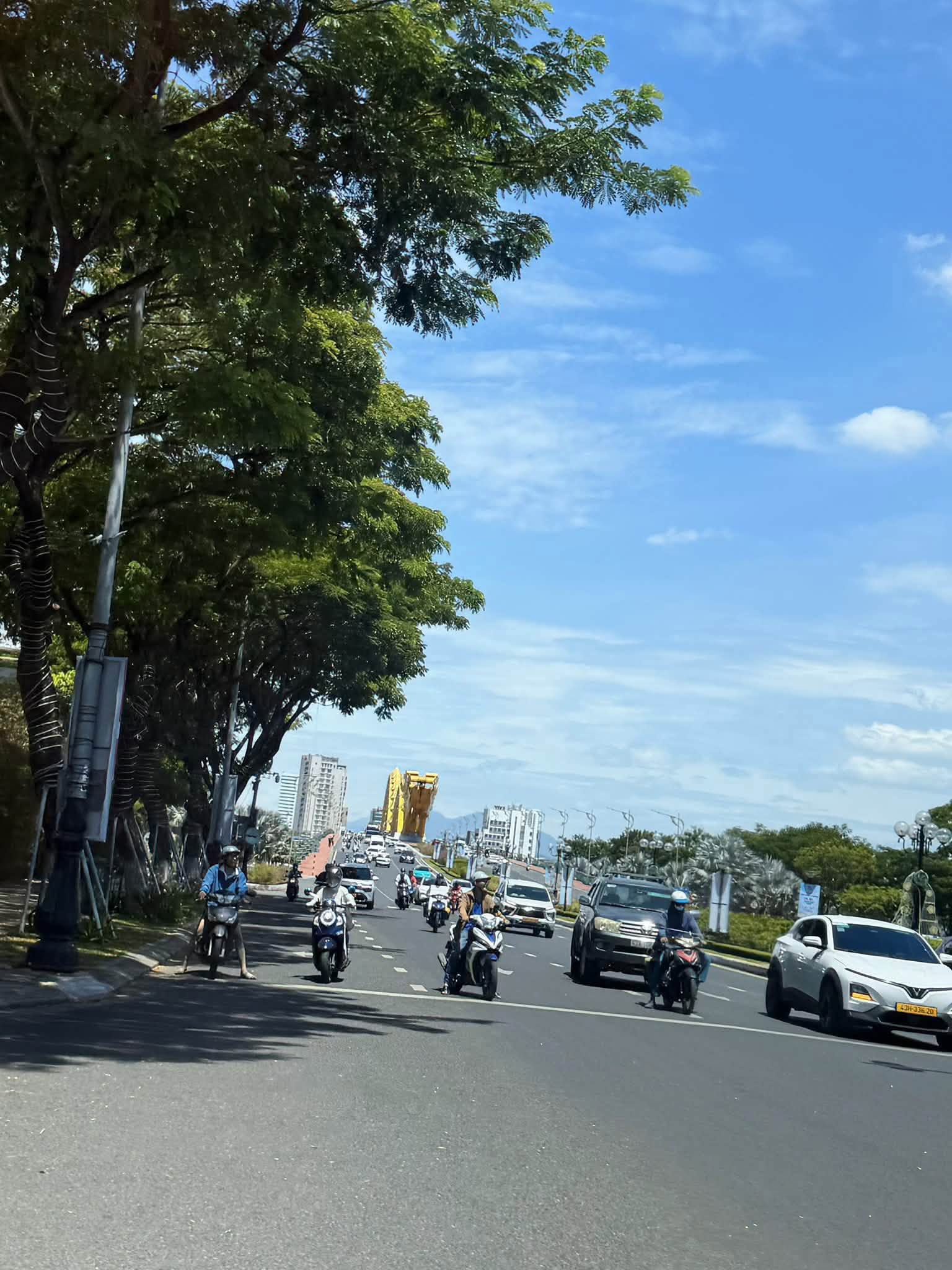 🔴ĐẤT KIỆT ĐÔNG GIANG – TRUNG TÂM SƠN TRÀ 16014746