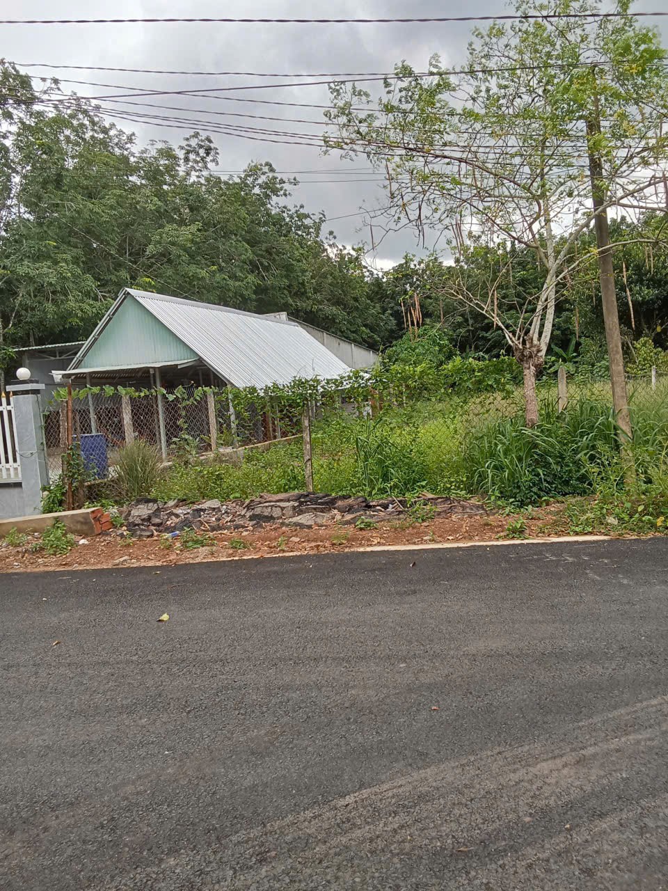 ĐẤT ĐẸP- GIÁ TỐT BÁN NHANH LÔ ĐẤT ĐẦU TƯ LÀ SINH LỜI tại huyện Dầu Tiếng tỉnh Bình Dương 16014785