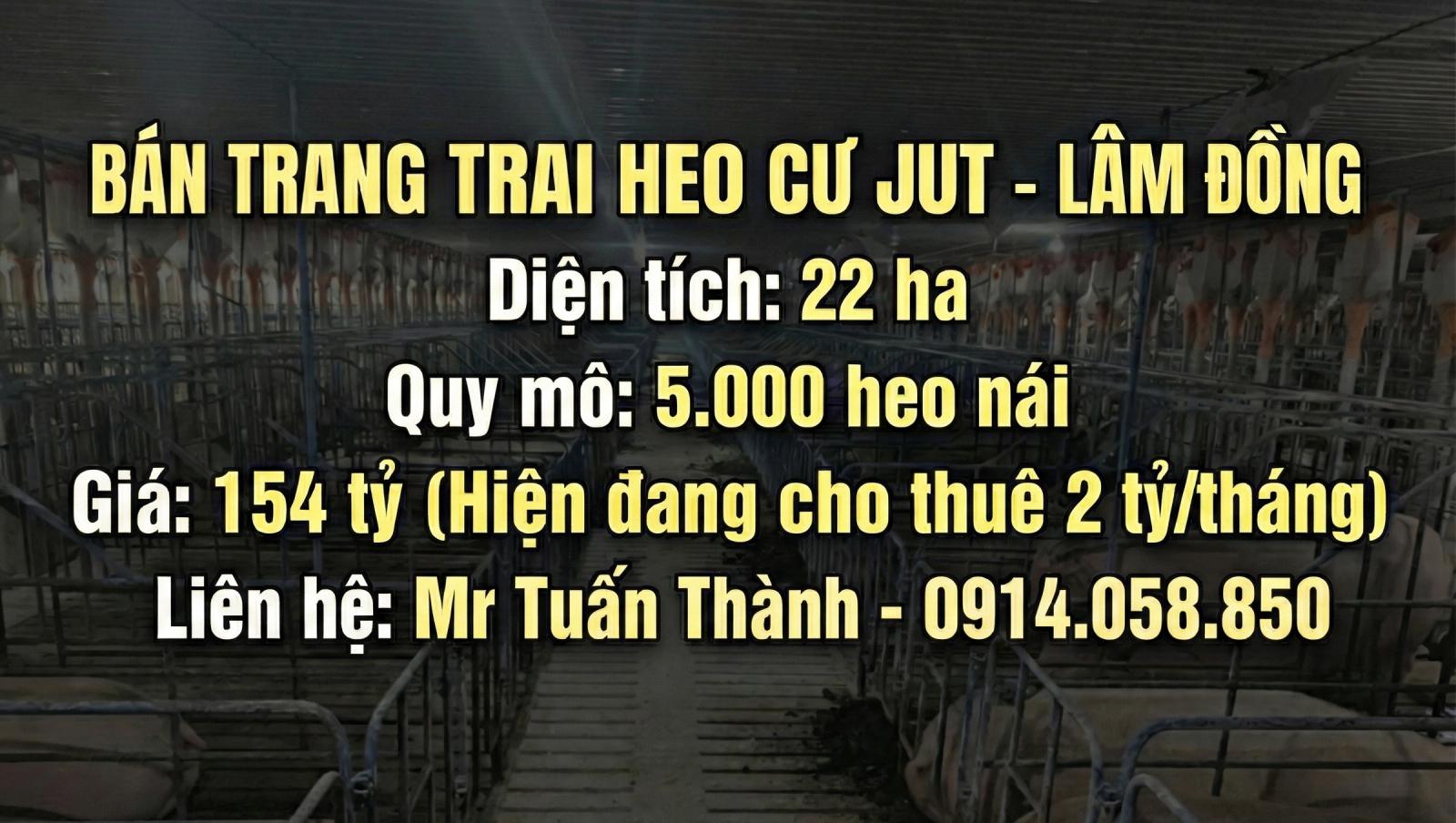 Trại Heo 22ha Lãi Ngay 2 Tỷ/Tháng 16014804