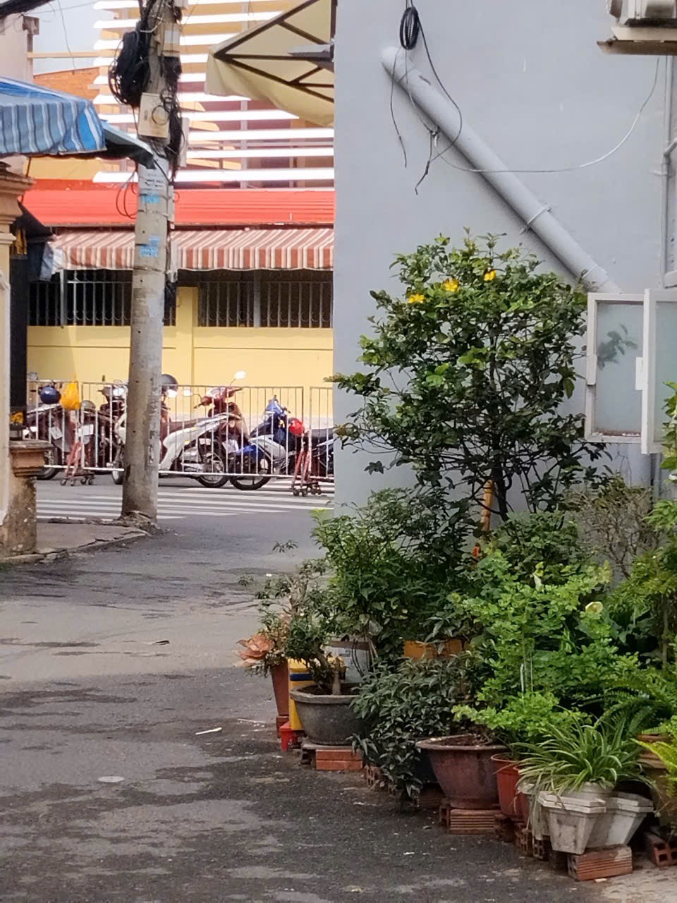 NHÀ CHÍNH CHỦ-  VỊ TRÍ ĐẸP CẦN BÁN NHANH nhà tại phường 3 quận Gò vấp, TPHCM 16014888