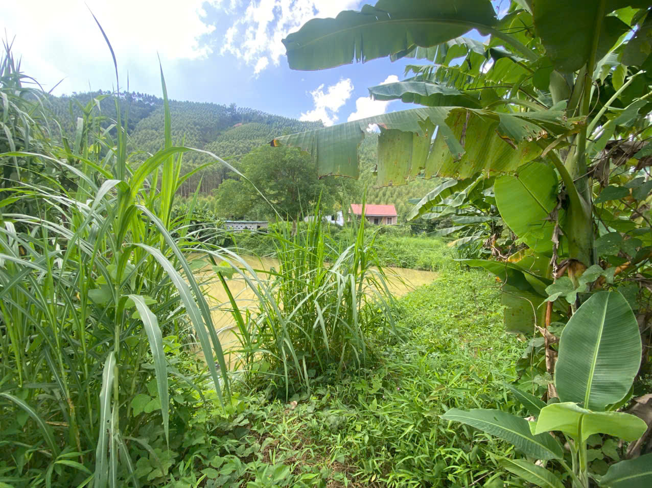 🌿 BÁN QUỸ ĐẤT HƠN 3,5HA – HỮU LŨNG, LẠNG SƠN | GIÁP BẮC NINH 16014955