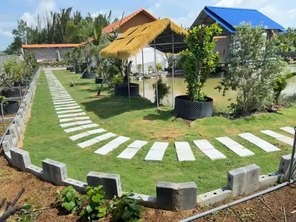 NHÀ VƯỜN MÁI NGÓI VEN SÔNG VÀM CỎ TÂY – SỞ HỮU HƠN 1.600M² THỔ CƯ CHỈ 25KM TỪ SÀI GÒN 16014990