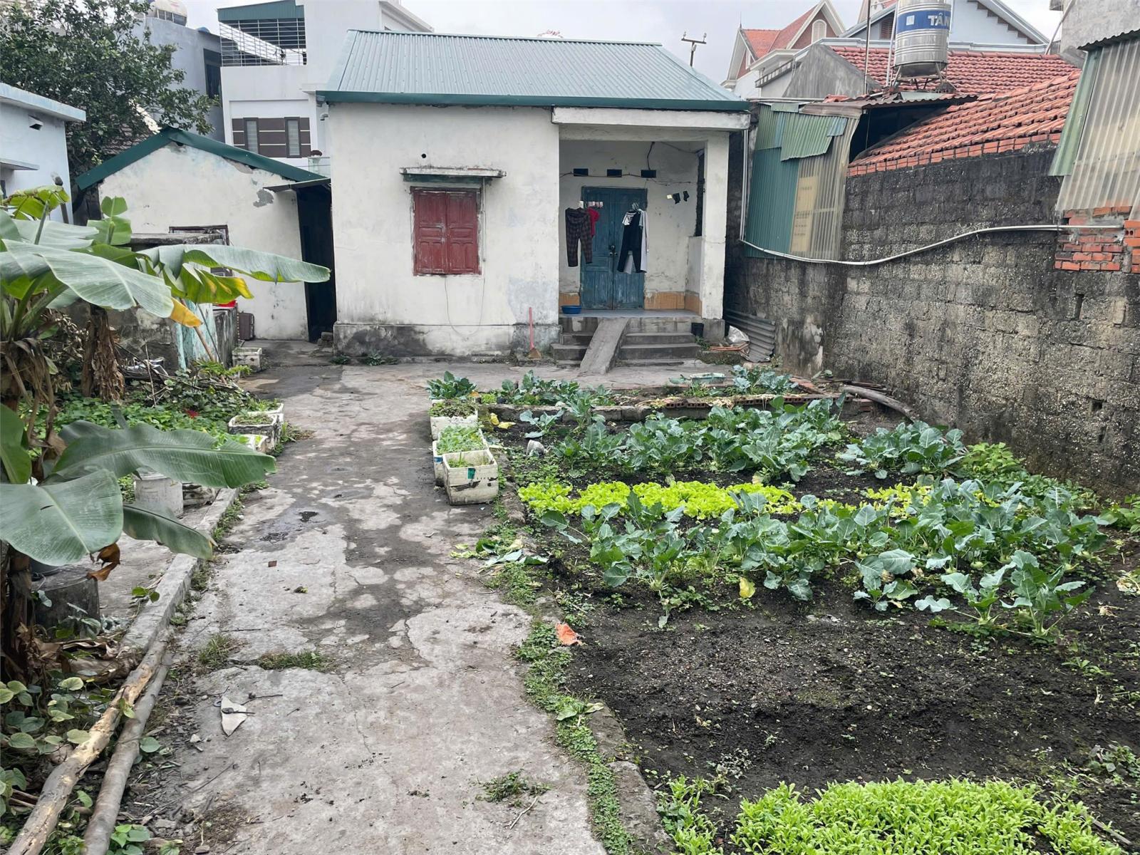 CHÍNH CHỦ Cần Bán Lô Đất Đẹp Tại Tổ 61 Khu Bình Minh, P.Cẩm Bình - Cẩm Phả - Quảng Ninh 16015241