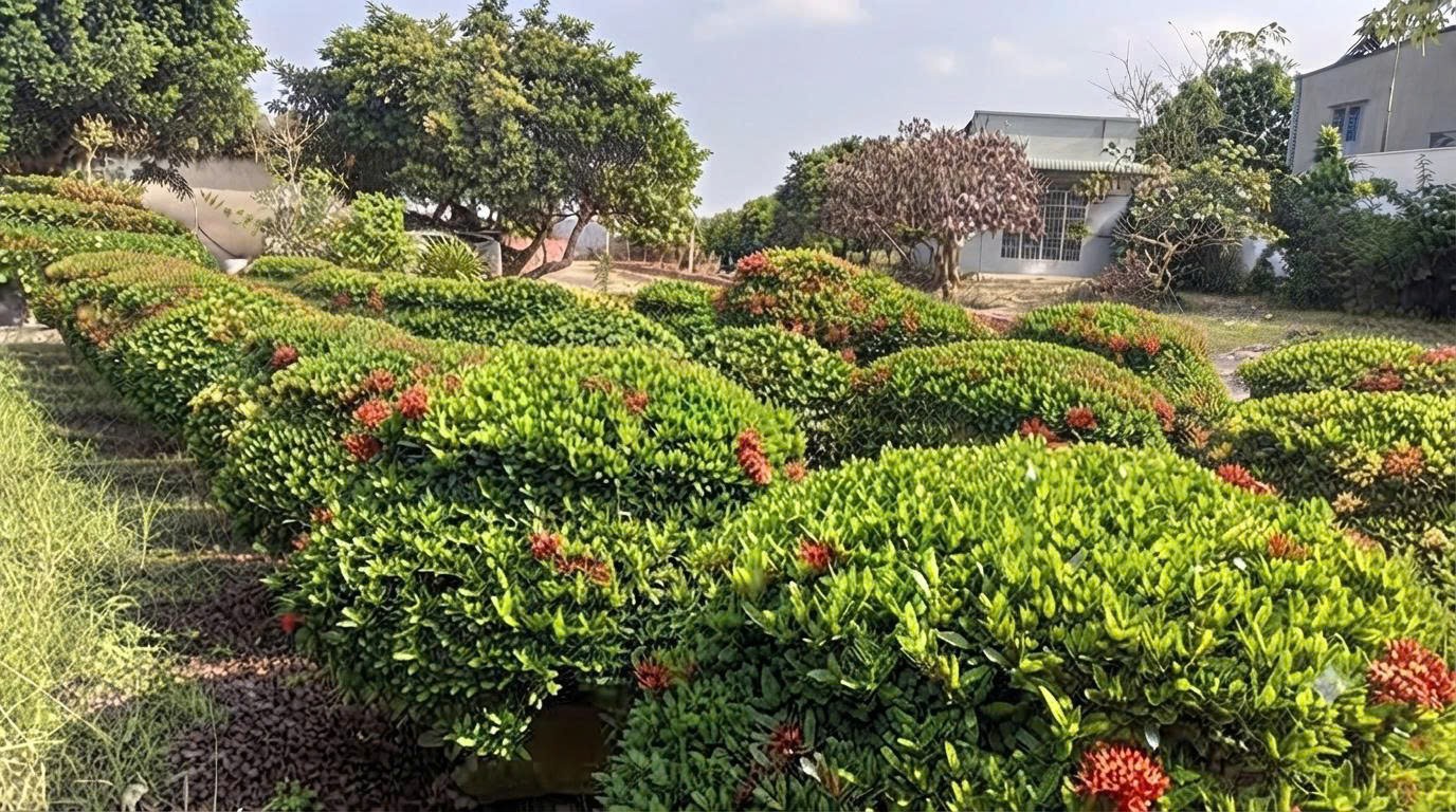 NHÀ VỊ TRÍ ĐẸP-CHÍNH CHỦ CẦN BÁN Nhà Vườn Nghỉ Dưỡng Long Điền, BR-VT (Xã Long Điền, TP.Hồ Chí Minh) 16015366