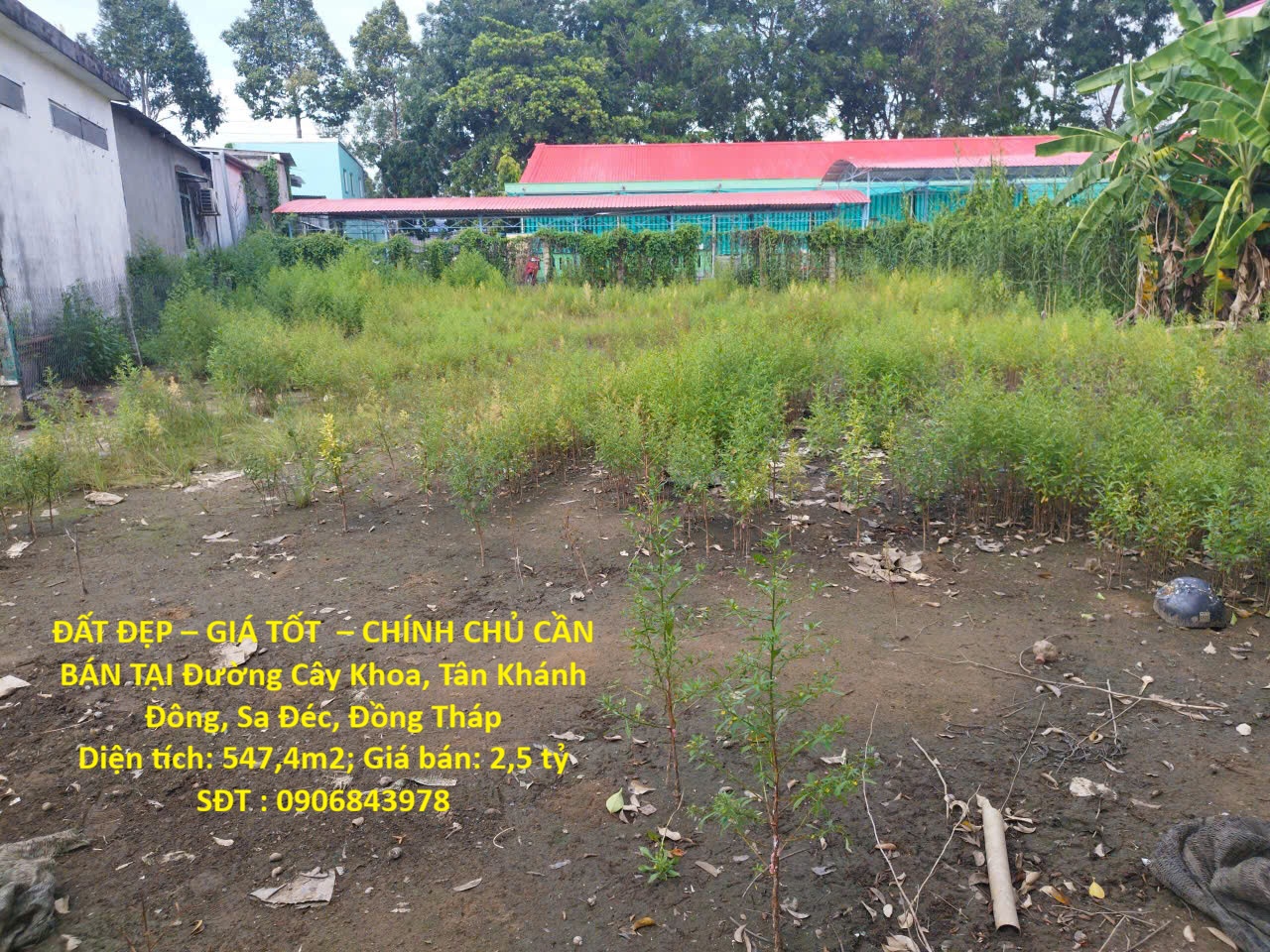 ĐẤT ĐẸP – GIÁ TỐT  – CHÍNH CHỦ CẦN BÁN TẠI Đường Cây Khoa, Tân Khánh Đông, Sa Đéc, Đồng Tháp 16015561