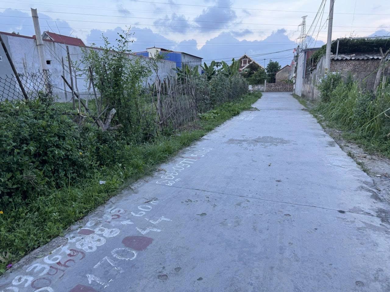Chính chủ bán lô đất 60m2 tại Hoàng Lâu, Hồng Phong, An Dương, Hải Phòng - Giá 1,66 tỷ 16015690