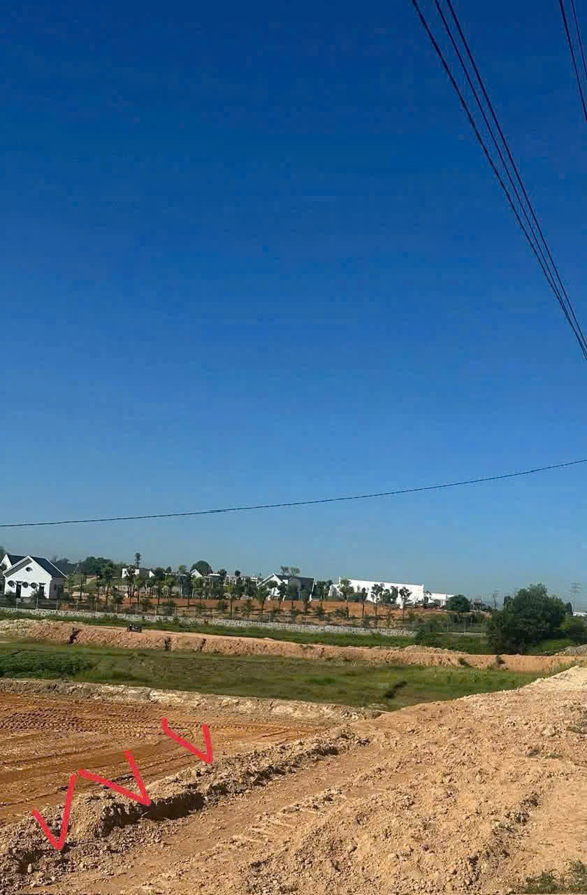 CHÍNH CHỦ BÁN ĐẤT ĐẤU GIÁ CỤM CÔNG NGHIỆP BÃI BA - XÃ THANH BA, PHÚ THỌ - GIÁ CHƯA ĐẾN 1,6 TỶ 16015738