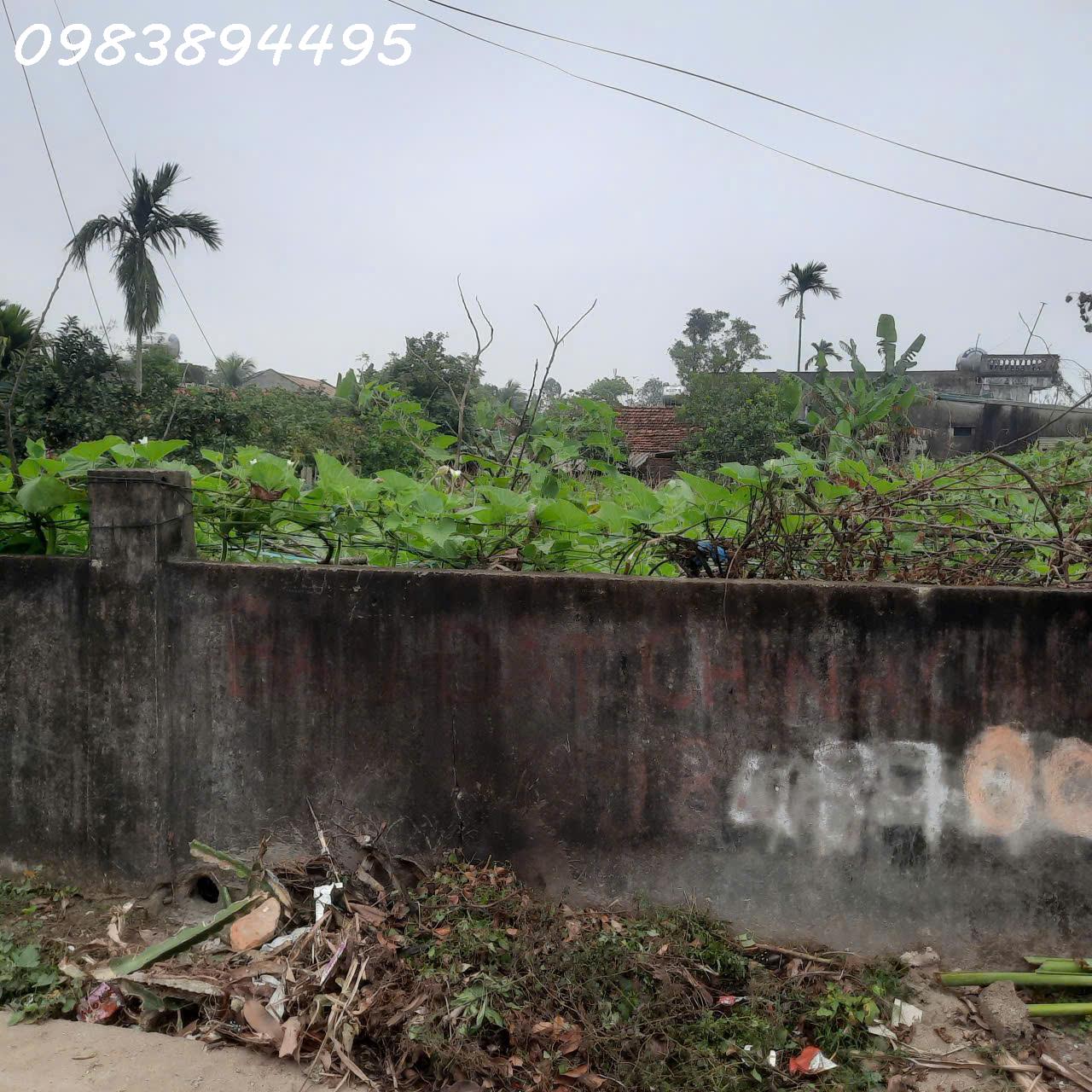 Bán đất đẹp tại xã Quảng Ninh, huyện Quảng Xương, Thanh Hóa, 340m2, giá đầu tư 16015794