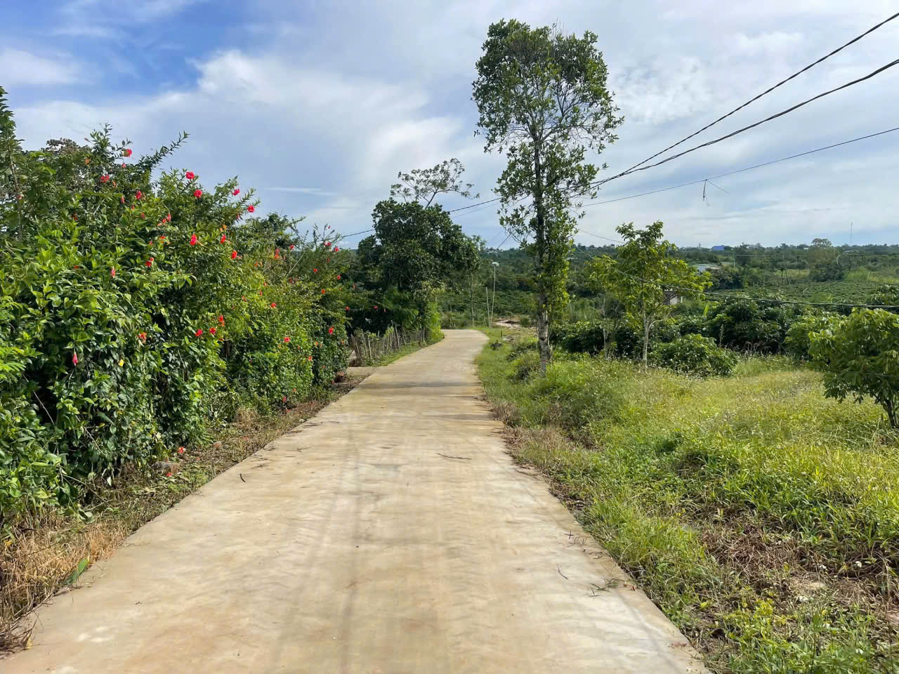 Đất đẹp Xuân Phú, Ea Kar, Đắk Lắk - 200m2 full thổ cư - Cách Quốc lộ 29 chỉ 150m - Giá 189 triệu 16015796