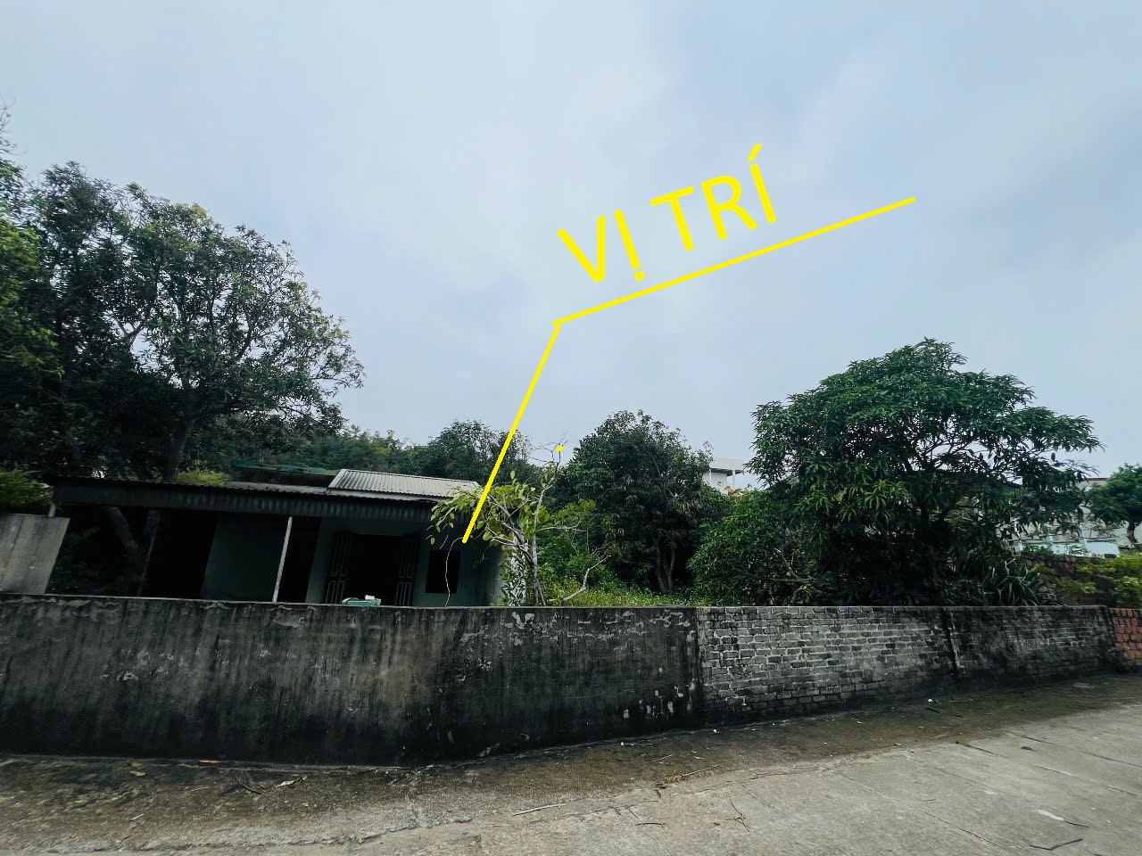 Bán đất thị trấn Cô Tô, Quảng Ninh, 781,4m2, full thổ cư, làm Homestay, nghỉ dưỡng 16015872