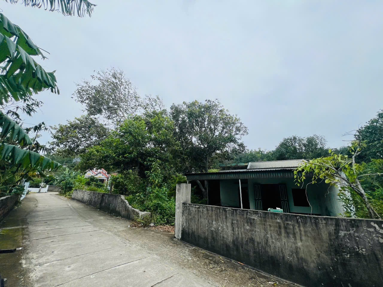 Bán đất thị trấn Cô Tô, Quảng Ninh, 781,4m2, full thổ cư, làm Homestay, nghỉ dưỡng 16015872