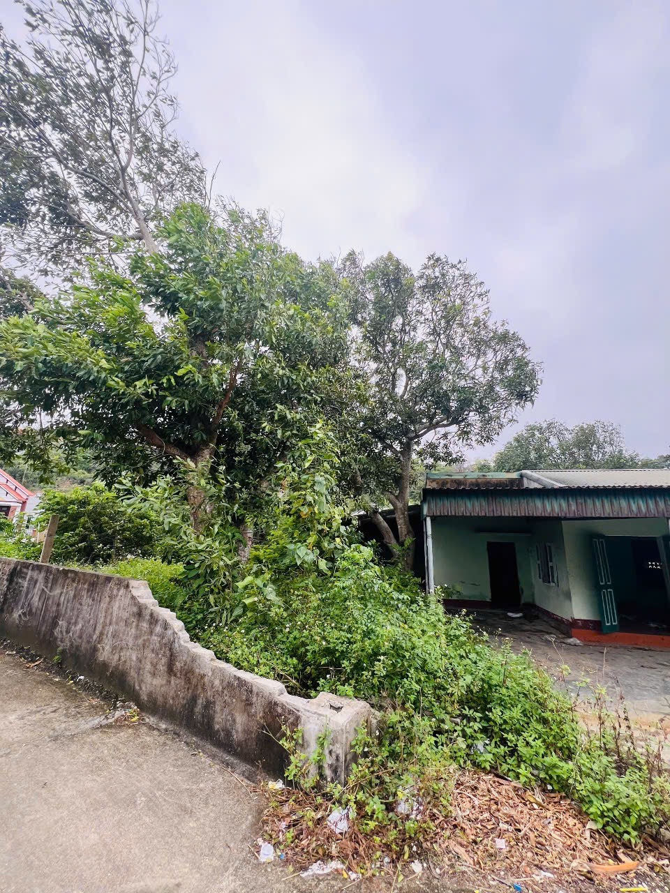 Bán đất thị trấn Cô Tô, Quảng Ninh, 781,4m2, full thổ cư, làm Homestay, nghỉ dưỡng 16015872