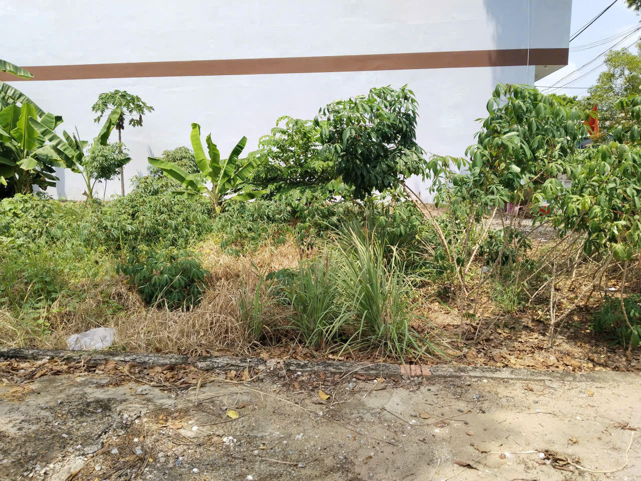 Bán nhanh 2 lô góc KDC P5 Tân An, 8x18,2m - Full thổ cư, 2 mặt đường rộng - Giá chỉ 2,7 tỷ 16015932