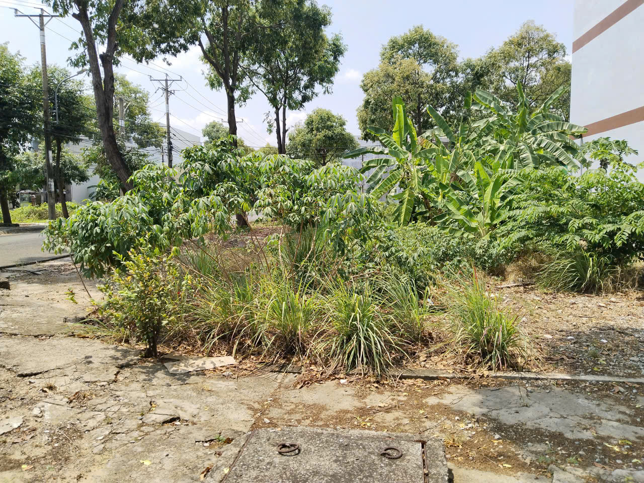 Bán nhanh 2 lô góc KDC P5 Tân An, 8x18,2m - Full thổ cư, 2 mặt đường rộng - Giá chỉ 2,7 tỷ 16015932
