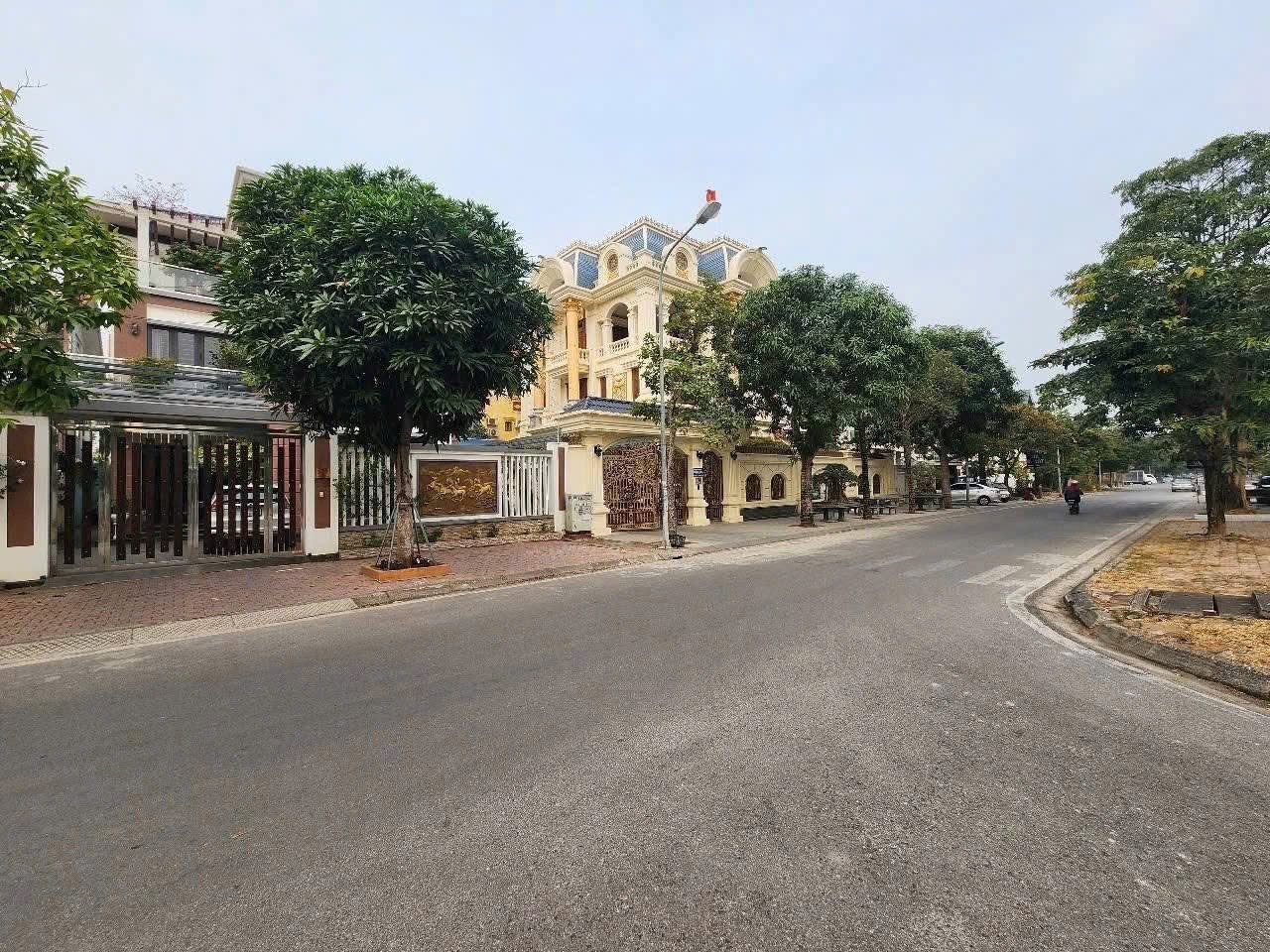 Bán đất biệt thự Đỉnh Long, ph Tân Bình, TP Hải Dương, 176m2, mt 11m, hướng tây, đường 15.5m 16015984