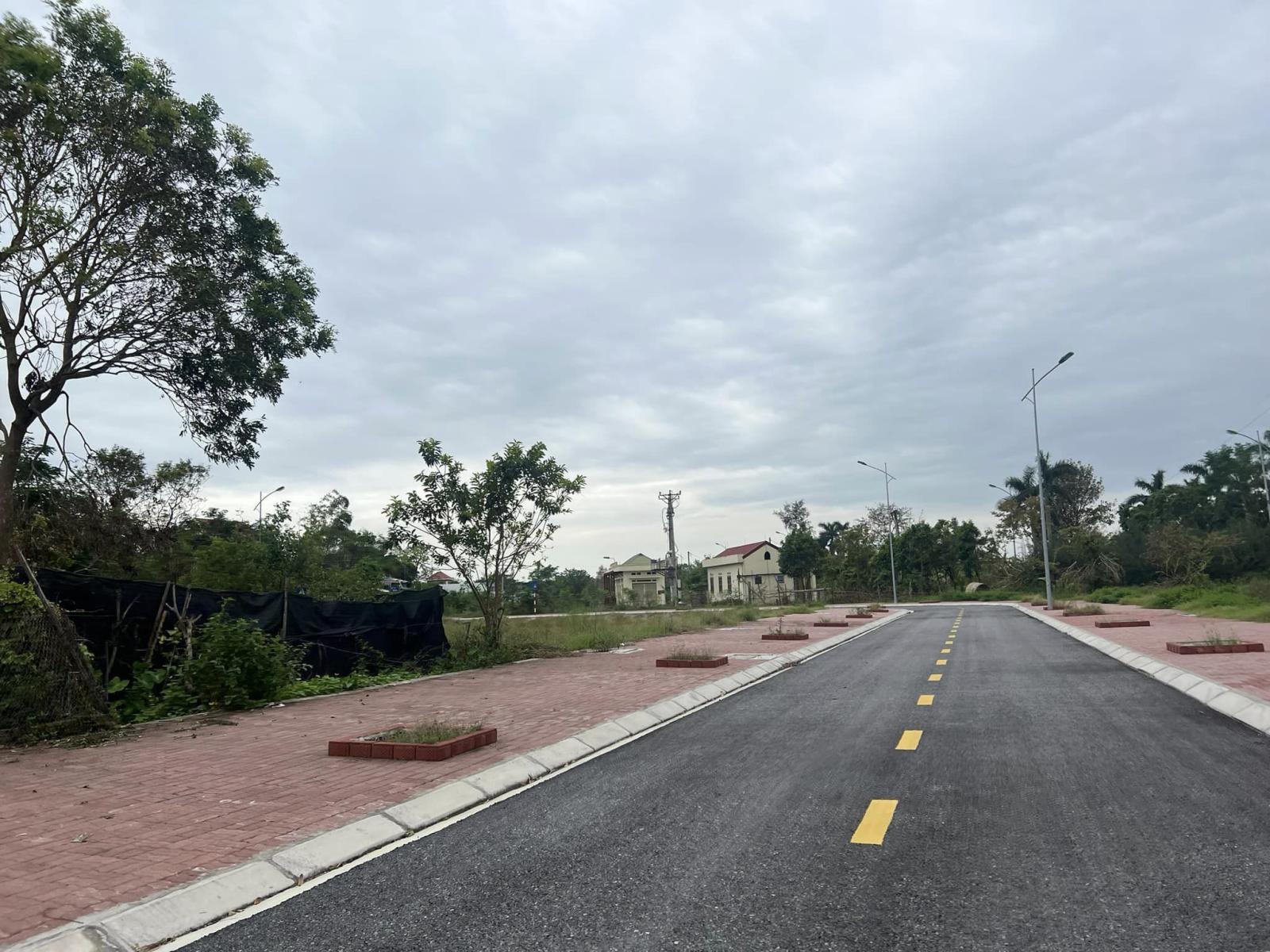 Bán đất biệt thự Đỉnh Long, ph Tân Bình, TP Hải Dương, 176m2, mt 11m, hướng tây, đường 15.5m 16015984