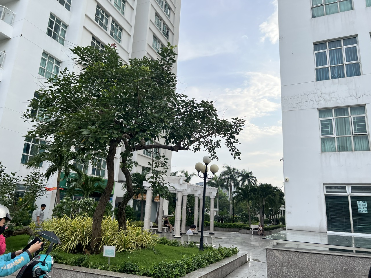 Cho thuê shophouse Hoàng Anh Thanh Bình giá 28T/tháng  16016286