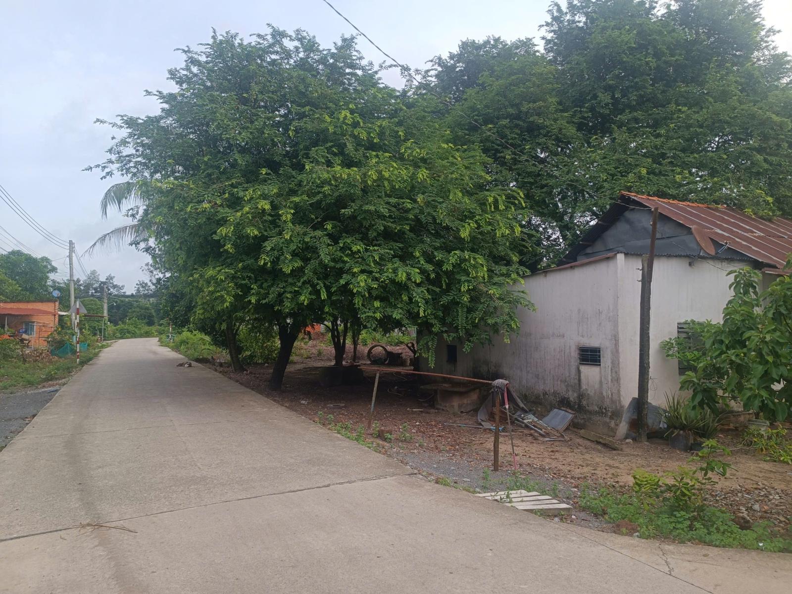 SỞ HỮU NGAY LÔ ĐẤT ĐẸP - GIÁ TỐT - Vị Trí Đắc Địa Tại Hưng Hoà, Ấp 1, Bình Dương 16016355