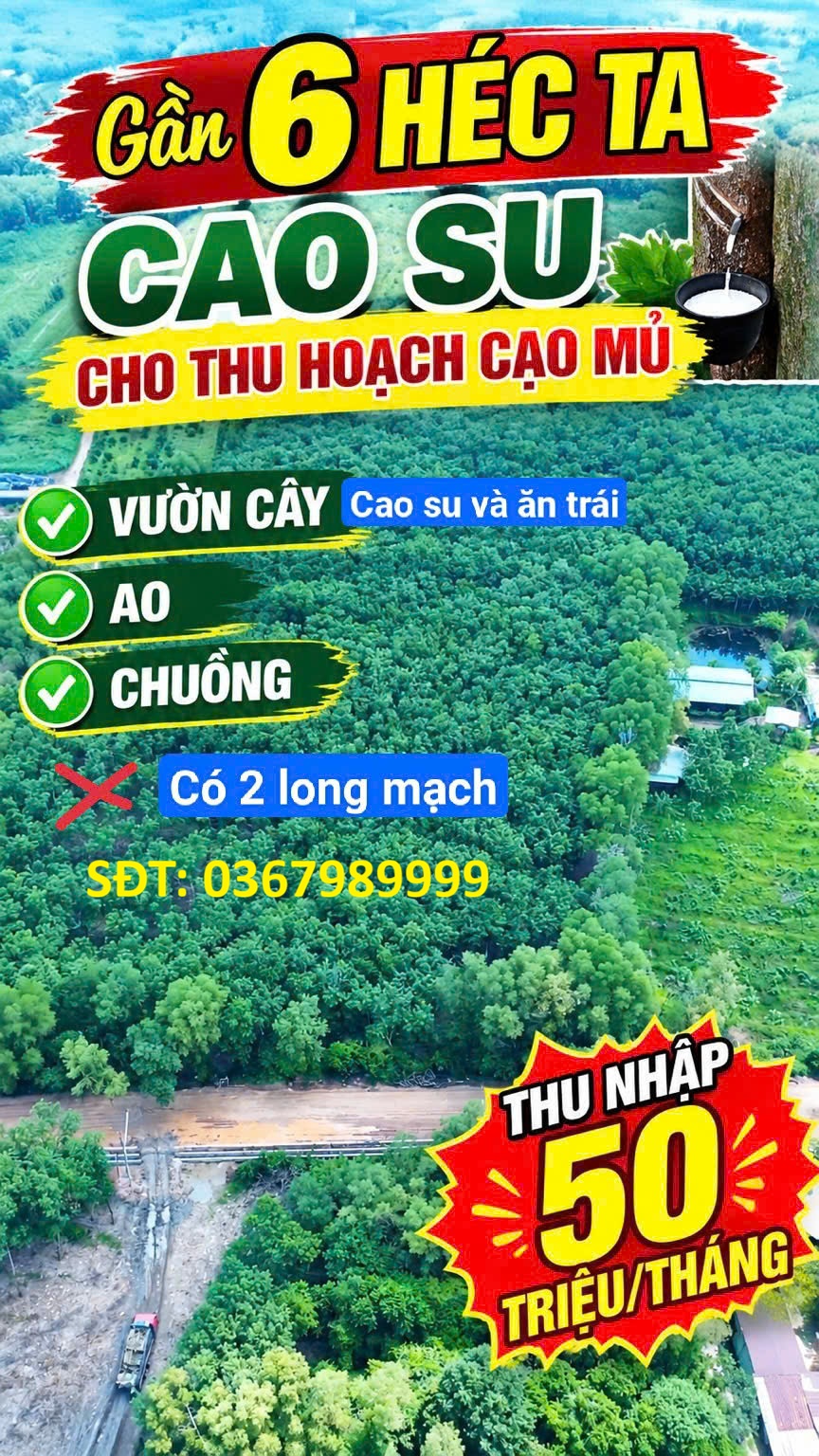 ĐẤT ĐẸP – GIÁ TỐT – CẦN BÁN 52.918 M² Mẫu Long Nguyên, Xã Long Nguyên, Huyện Bàu Bàng, Bình Dương 16016442