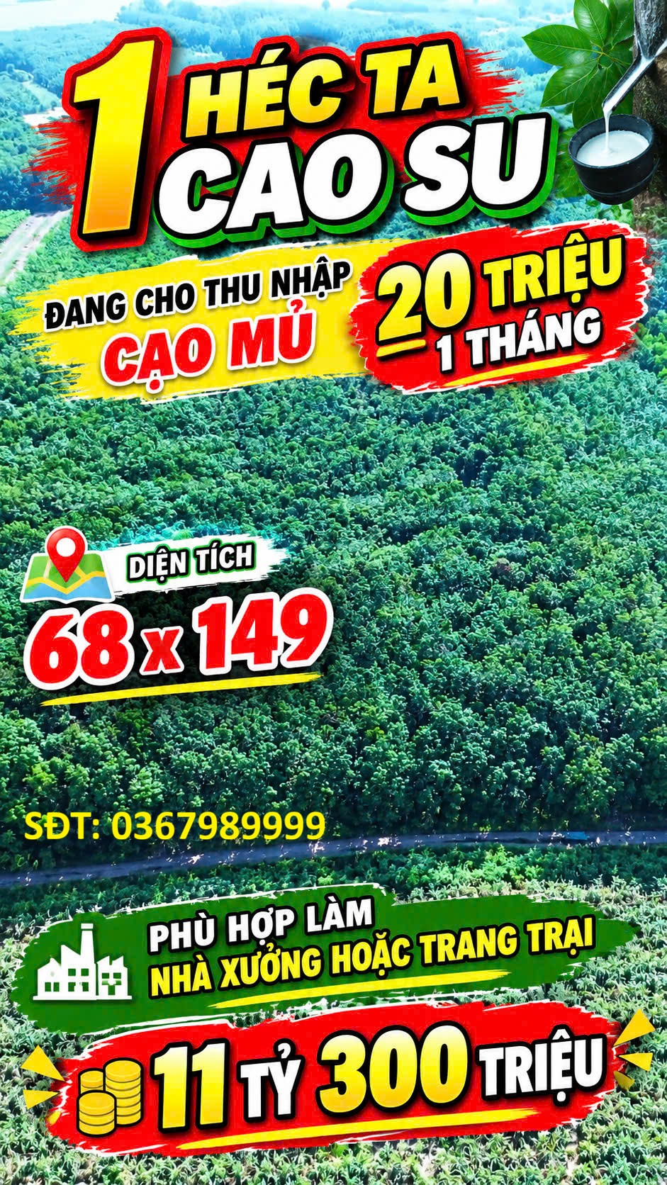 ĐẤT ĐẸP – GIÁ TỐT - CẦN BÁN GẤP CẶP ĐẤT SÀO LIỀN KỀ CẠNH KCN BÀU BÀNG MỞ RỘNG Bàu Bàng, Bình Dương 16016443