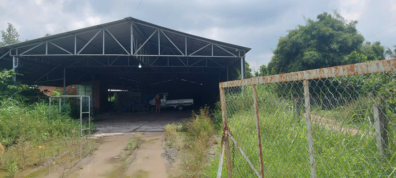 CHÍNH CHỦ CHO THUÊ MẶT BẰNG 4.000M² GẦN CHỢ LONG HẢI – CÓ SẴN XƯỞNG 1.000M2 16016624