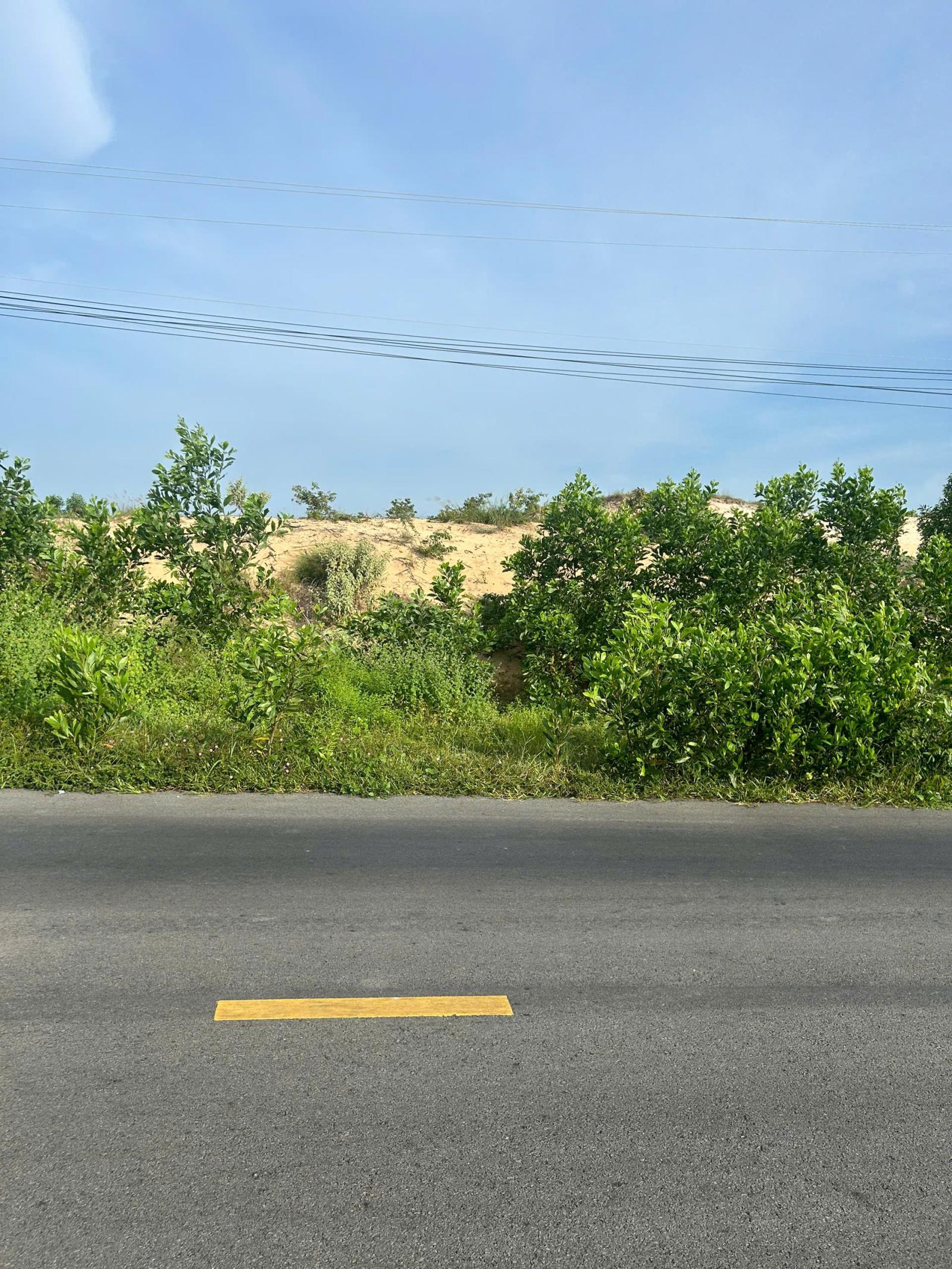 Bán 34m x 75m đất mặt tiền Lê Minh Công - Tân Phước - LaGi view Biển 5.19tr/m2 16016702