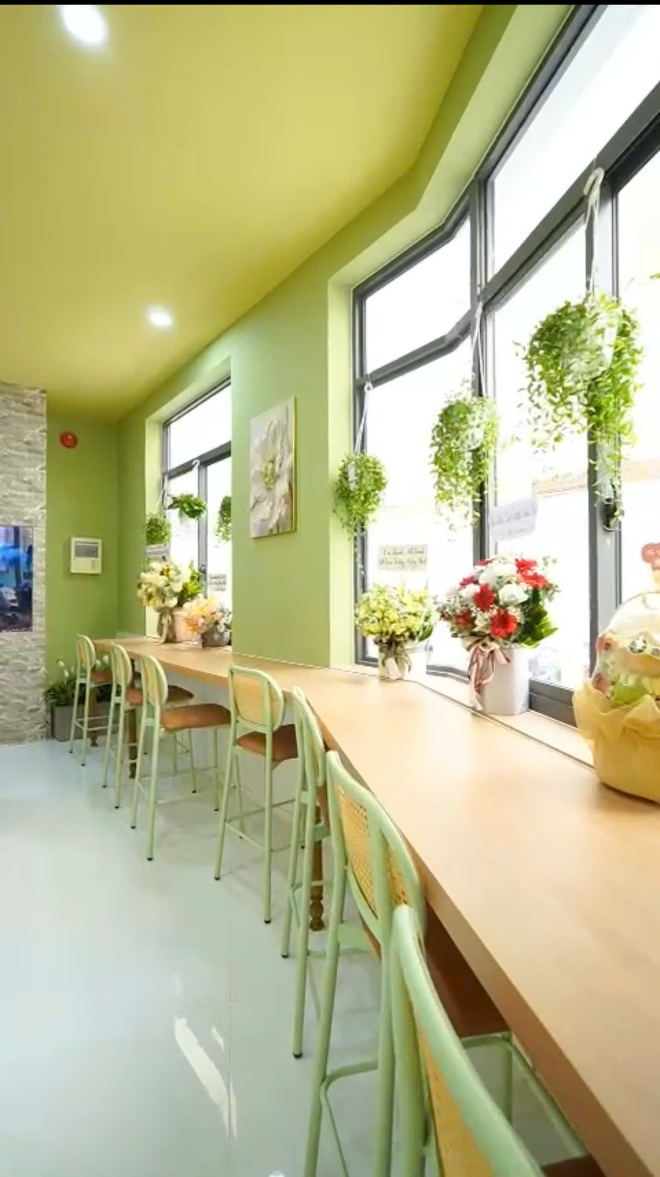 SIÊU PHẨM NGUYỄN TRÍ THANH 36TỶ CÓ THƯƠNG  LƯỢNG XÍU  16016786