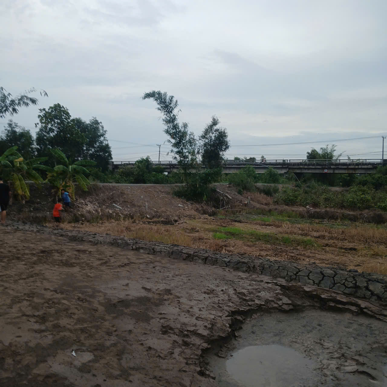 Bán Nhanh Lô Đất Tại Ấp 3, Tân Long , Tây Ninh. 16017153