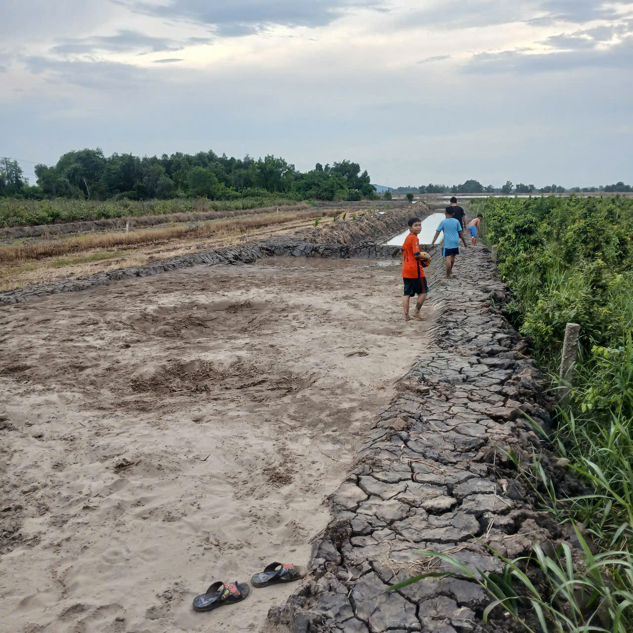 Bán Nhanh Lô Đất Tại Ấp 3, Tân Long , Tây Ninh. 16017153