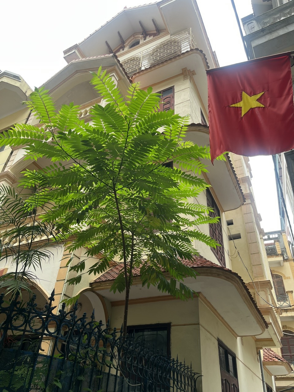 CHO THUÊ NHÀ NGUYÊN CĂN – SỐ 18 NGÕ 133 HOA BẰNG, YÊN HÒA, CẦU GIẤY 16017175