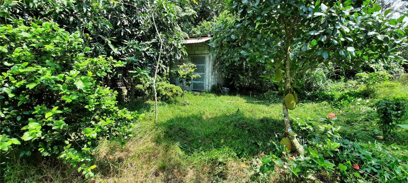 CHÍNH CHỦ Cần Bán Nhanh Lô Đất Mặt Tiền HỐ BÒ – AN NHƠN TÂY - HCM 16017277