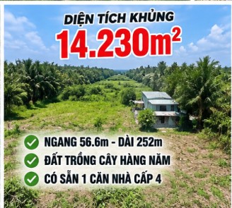 TẠI SAO NHÀ ĐẦU TƯ ĐẤT VEN ĐÔ NÊN XEM KỸ LÔ 14.230M² NÀY Ở CỦ CHI 16017451